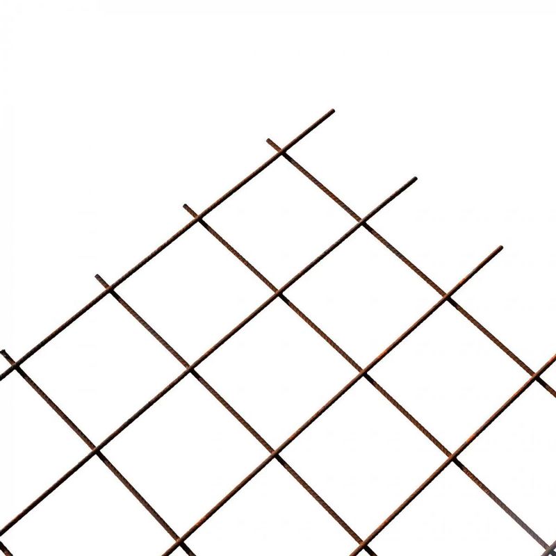 224494_1