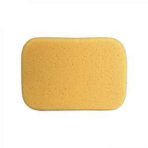 Esponja Profesional 19 x 14 cm