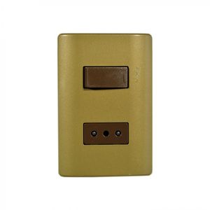 Placa Armada Interruptor 9/12 + Enchufe 16 A Génesis Dorado