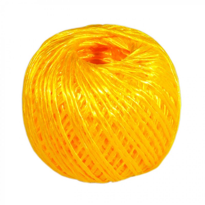 77580_1