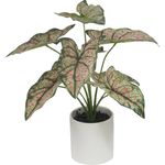 Planta-Artificial-Taro-Cafe-40-CM-9-Hojas-239733_1