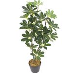 Planta-Artificial-Arboricola-85-CM-24-Hojas-239735_1