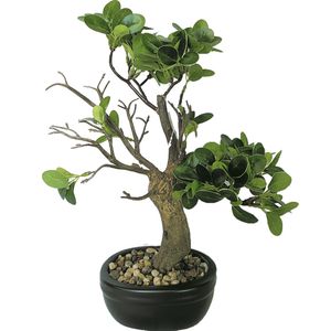 Bonsai Artificial Pino 38 cm Maceta De Cerámica