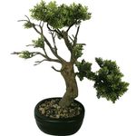 Bonsai-Artificial-Cipres-38-CM-239742_1