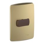 Placa-Armada-Miluz-Interruptor-Simple-9-24-10A-Dorado-242771_1