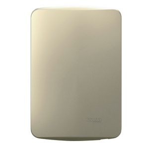 Placa Ciega Con Soporte Miluz Dorado