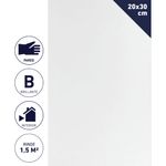 Ceramica-Muro-Blanco-Brillante-20x30-CM-1-50-M2-71186_1
