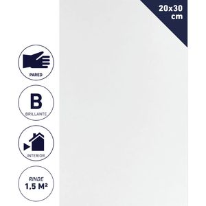 Cerámica Muro 20 x 30 cm 1,5 m2 Blanco
