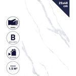 Ceramica-Muro-Permesso-Brillante-25-x-40-CM-1-5-M2-242473_1