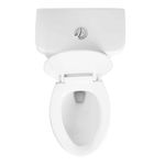 Toilet-Ada-Descarga-Piso-30-CM-242338_5