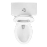 Toilet-Ada-Descarga-Piso-30-CM-242338_6
