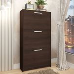 Zapatera-3-Puertas-Ebano-246701_2