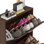 Zapatera-3-Puertas-Ebano-246701_4