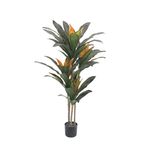 Planta-Dracaena-105-cm-66-Hojas-245190_1