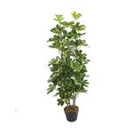 Planta-Schefflera-Arboric-120-cm-80-Hojas-245191_1