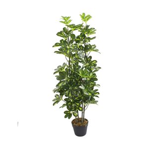 Planta Artificial Schefflera Arboric 80 Hojas 120 cm