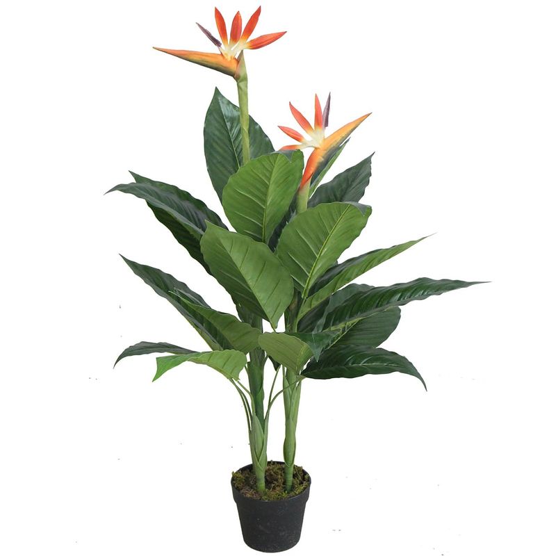 Planta-Paradise-Birds-100-cm-18-Hojas-245194_1