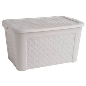 Caja Organizadora Ratan 50 L Beige