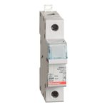 Portafusible-1-Polo-10-A-243127_1