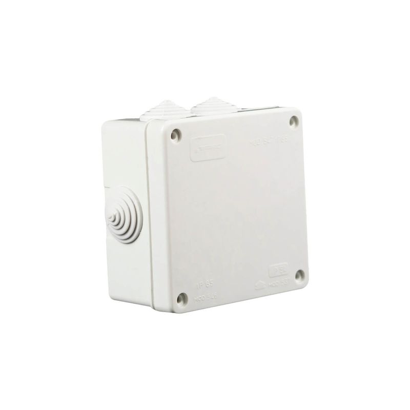 Caja-Estanca-7-Salidas-100-x-100-x-60-mm-Blanca-248802_1