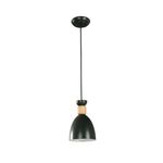 Lampara-Colgante-Negra-1-Luz-E27-40-W-245764_1