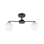 Lampara-De-Techo-Negra-2-Luces-E27-40-W-245767_1