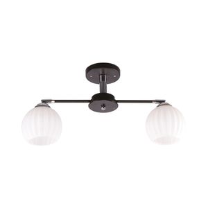 Lámpara De Techo Negra 2 Luces E27 40 W