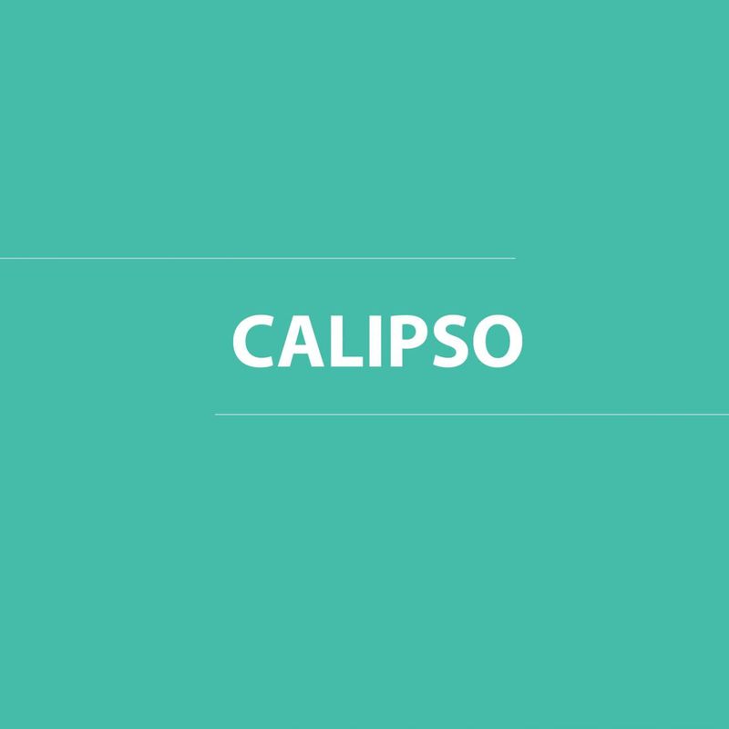 Latex-Constructor-1-gl-Calipso-Mate-30187012_3