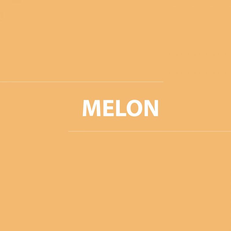 Esmalte-al-agua-Constructor-1-gl-Melon-Satinado-37049005_3