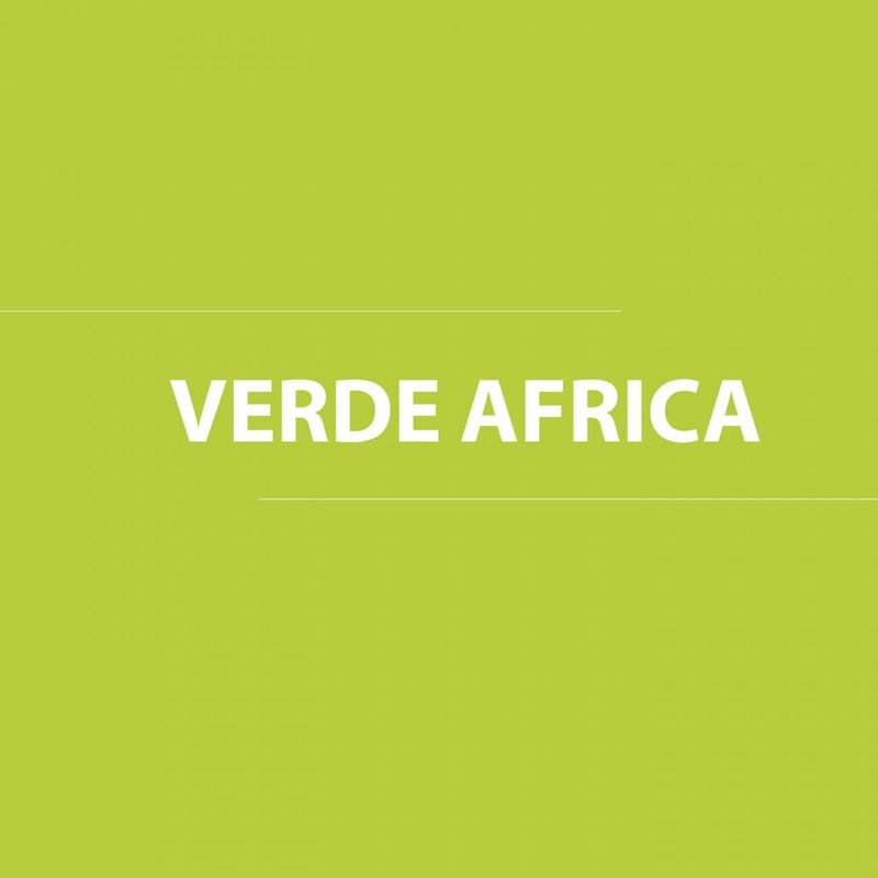 Esmalte-al-agua-Constructor-1-gl-Verde-africa-Satinado-37049011_3