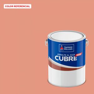 Esmalte Al Agua Cubre Más 1 GL Damasco
