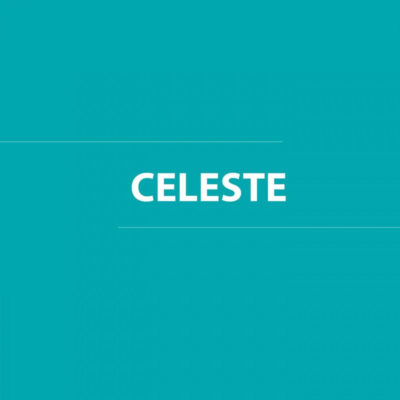 Pintura-Piscina-Celeste-Galon-30322005_3