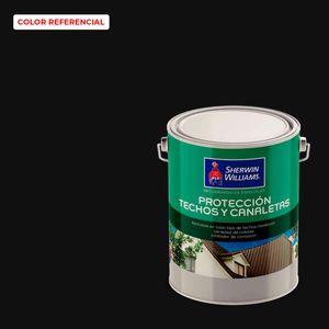 Pintura Protección Techo Y Canaletas 1 GL Negro Satinado