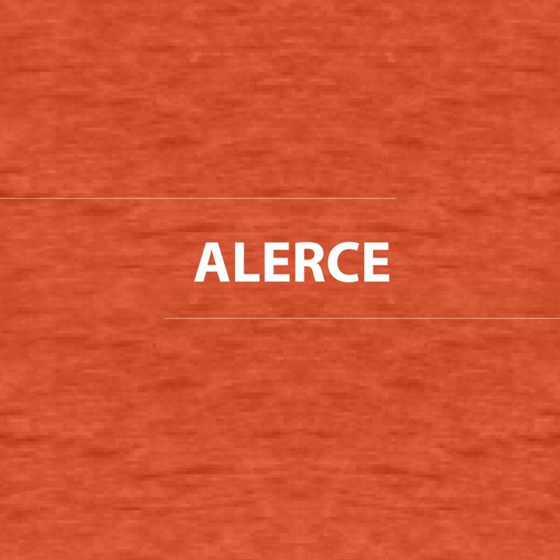Protector-de-madera-Cerestain-1-4-gl-Alerce-Mate-30024003_3