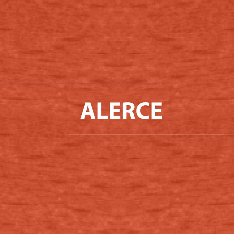 Barniz-Vitrolux-60-1-gl-Alerce-Brillante-30467002_3