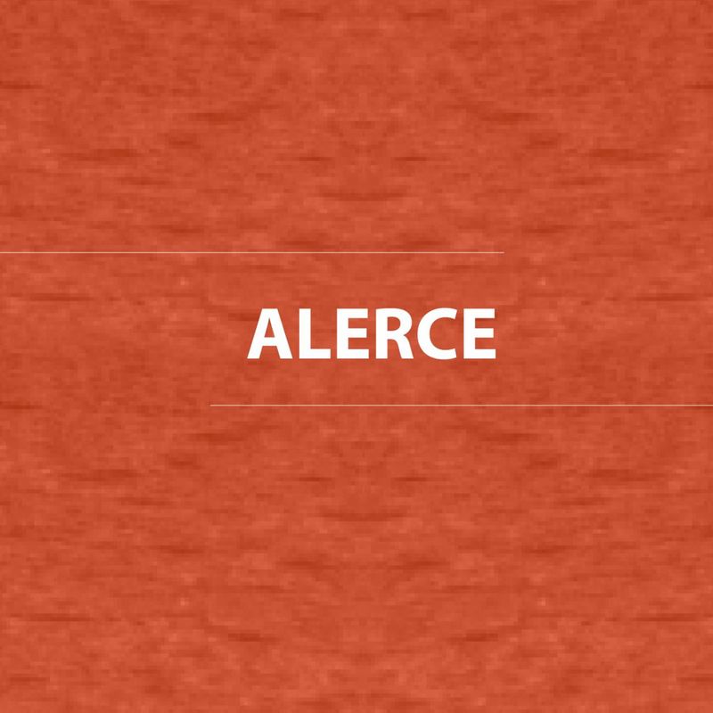 Barniz-Marino-1-gl-Alerce-Mate-30036004_3