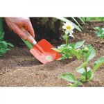 Palita-Ancha-de-Jardin-98769_2
