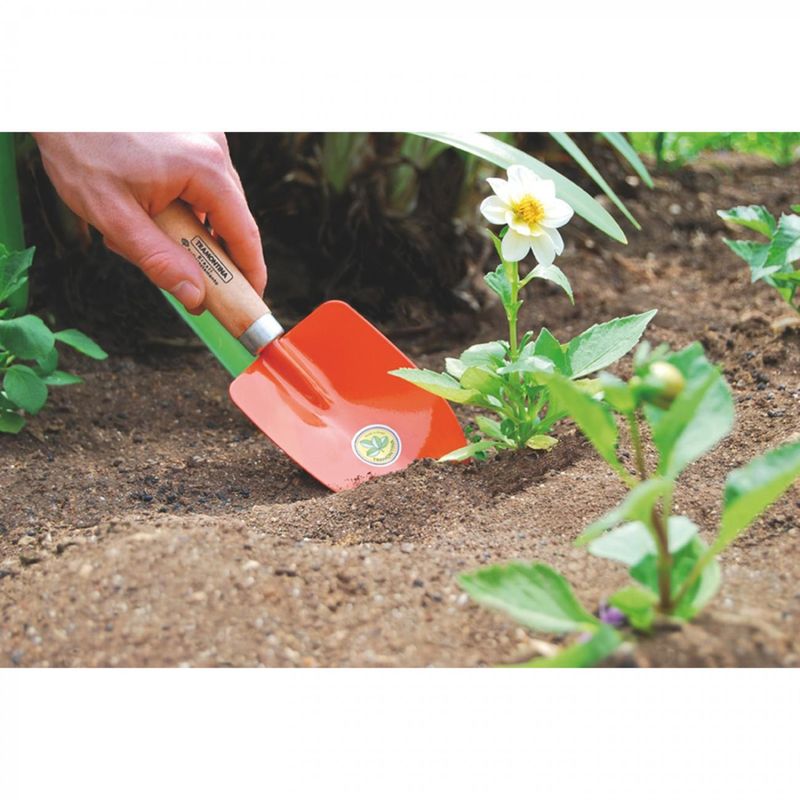 Palita-Ancha-de-Jardin-98769_2