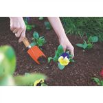 Palita-Angosta-Jardin-98770_3
