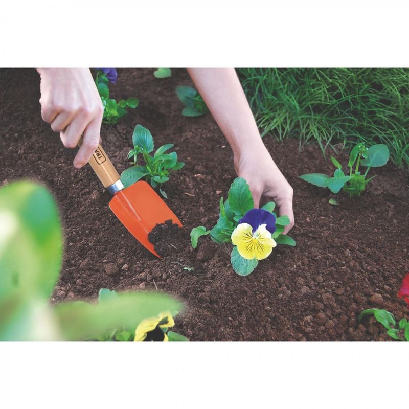Palita-Angosta-Jardin-98770_3