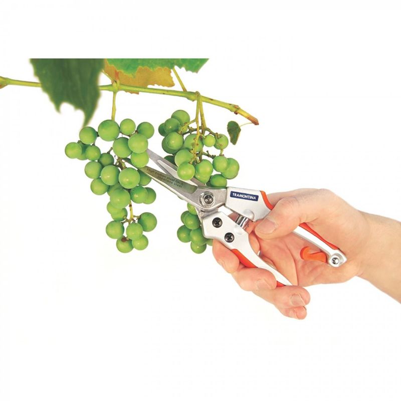 Tijera-de-Podar-Profesional-Jardin-214610_3