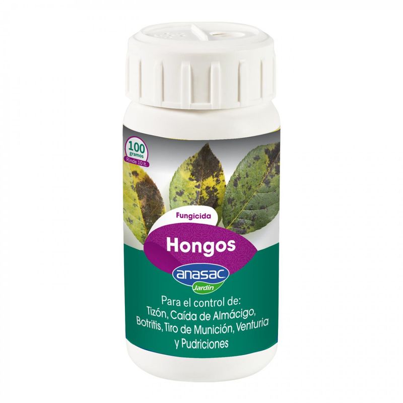 Hongos-100-gr-130898_1