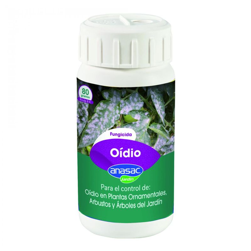 Oidio-80-gr-130959_1