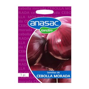 Semilla De Cebolla Roja 1 gr