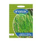 Semillas-de-Ciboulette-1-gr-129982_1