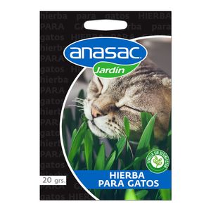 Semilla De Hierba Gato 20 gr