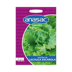 Semilla De Lechuga Escarola 5 gr