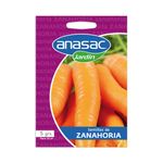 Semillas-de-Zanahoria-5-gr-131205_1