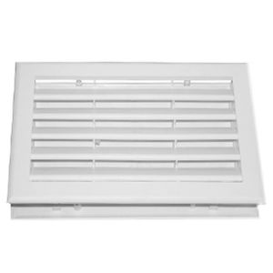 Celosia Beagle 30 X 20 Cm 25 Un Blanco