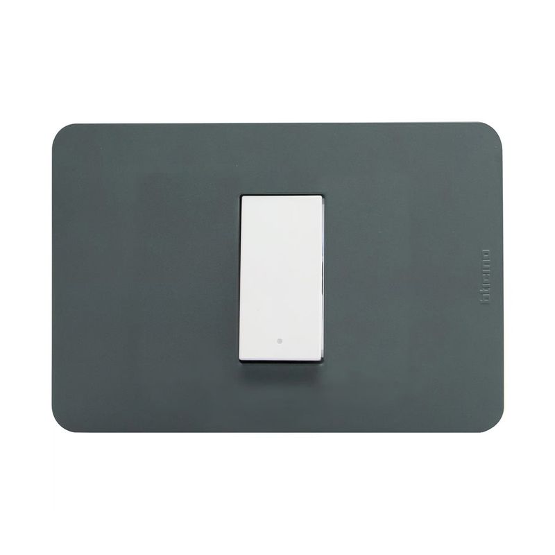 Placa-Armada-Interruptor-9-12-Simple-Agave-Verde-250257_1